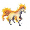 /album/fotogaleria/ponyta-by-dancergurl4u2nv-jpg/