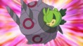 Battling For The Love of Bug-Types!