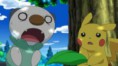 Oshawott's Lost Scalchop!